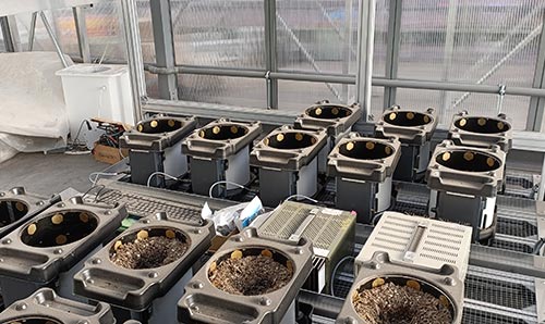 Imaging robot for plant breeding