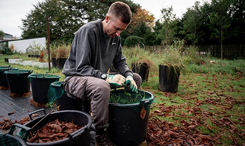 Person working with soil