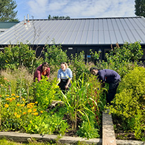 People gardening outside