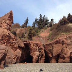 Sandstone coloured rock face