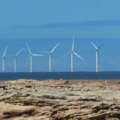 Offshore wind turbines with coastal rocks in the foreground
