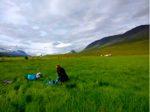 A scientist sampling soil in a pasture with mountains in the background