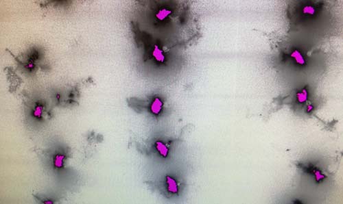 A screenshot of a computer screen with purple dots on it.