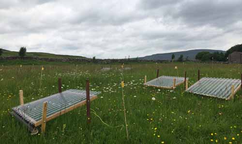 Solar panels sat on wooden frames in a meadow.
