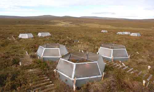 Small hexagonal polythene enclosures dotted across a moorland.