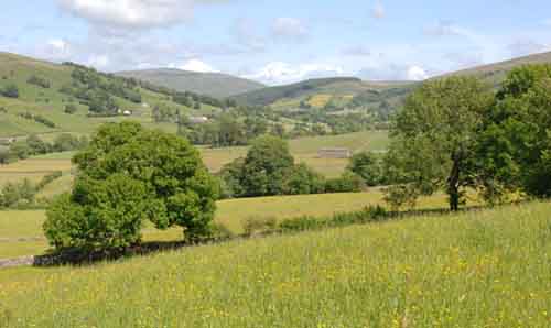 Green trees among a rolling valley of green hills.