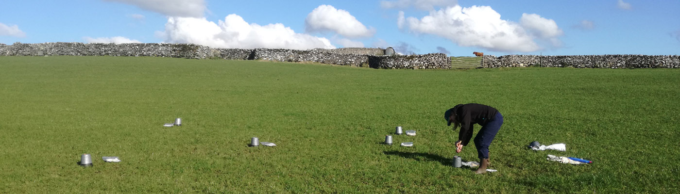 A researcher collects soil samples from a field.