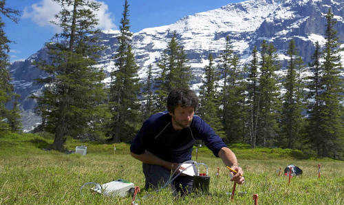 Sampling soil on fieldwork